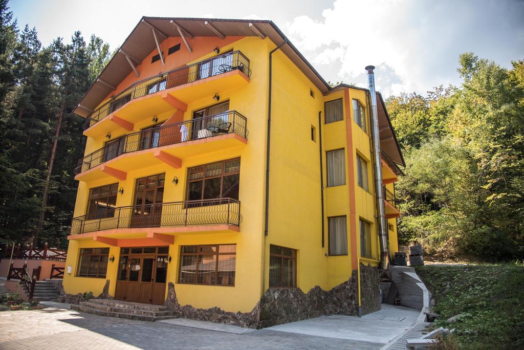 Hotel Trei Brazi Baile Olanesti Exterior photo